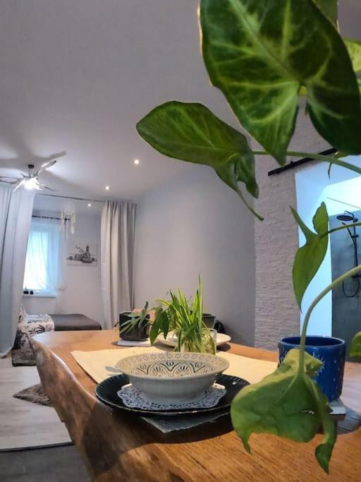 Urocze Studio W Sercu Cieplic Warmbrunn Kültér fotó